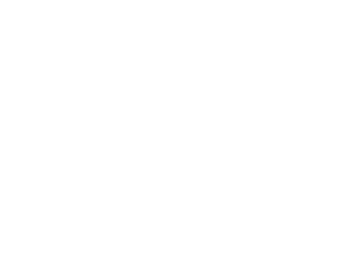 Immigration Lawyers