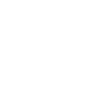 Top Web Developer in New York City