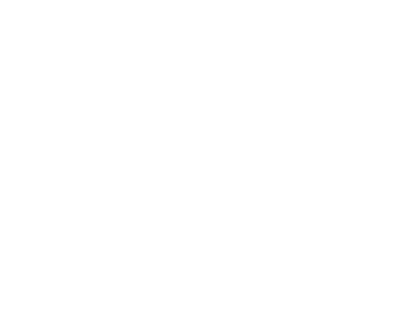 Citizenship - services - immigration - attorney - lawyer - Miami - Fl.