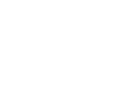 Expertise.com Best Auto Glass Repair Shops in Tampa 2024