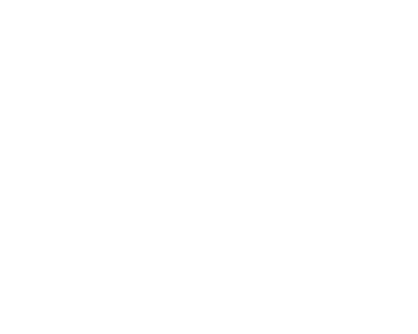 Expertise.com Best Chimney Sweepers in Chicago 2024