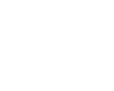 Expertise.com Best Car Accident Lawyers in Mount Pleasant 2024