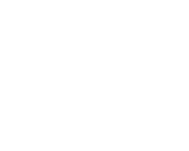 Expertise.com Best Wedding Photographers in Allen 2024