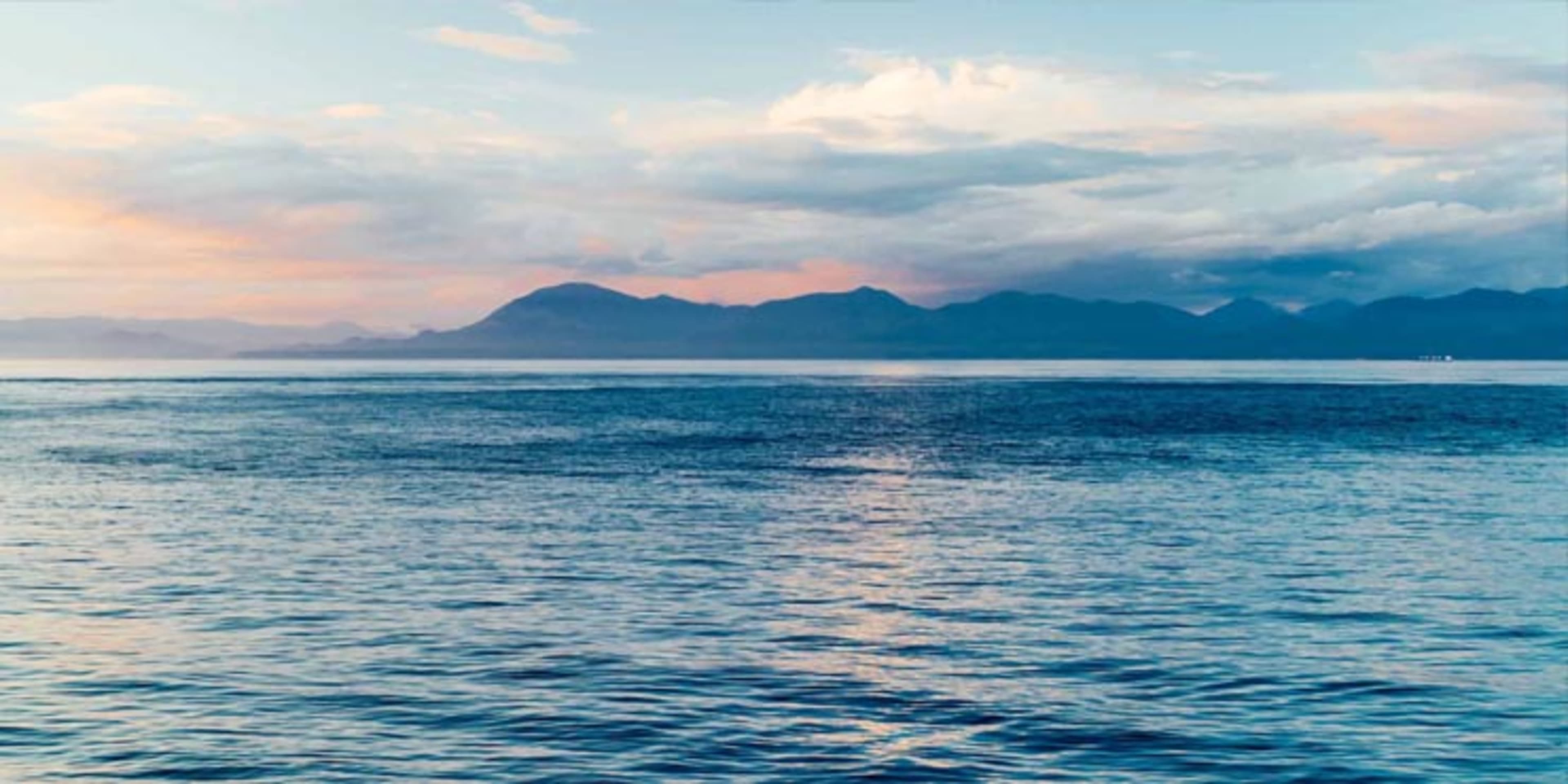 Fishing Guides background