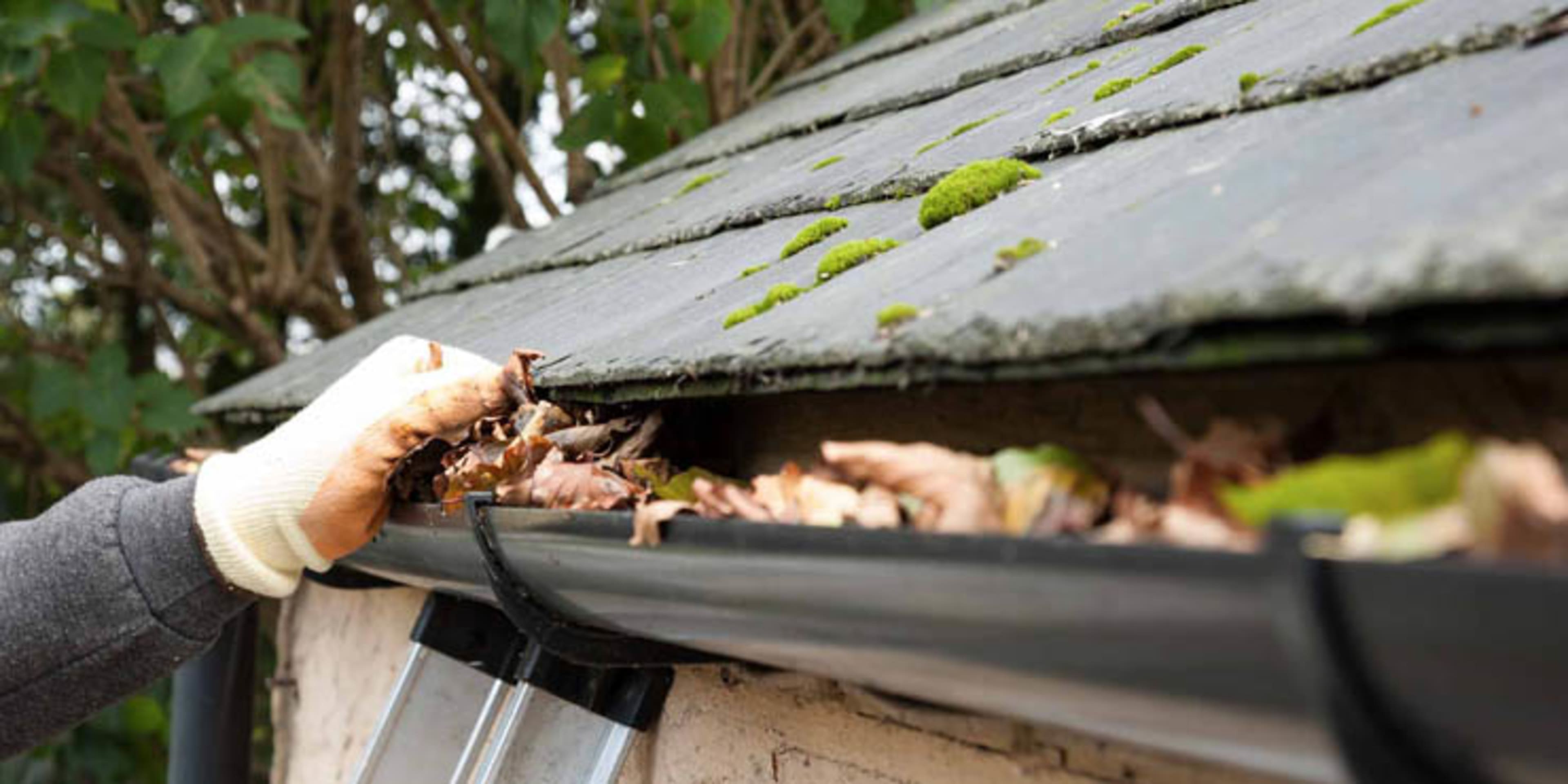 Gutter Cleaning Services background