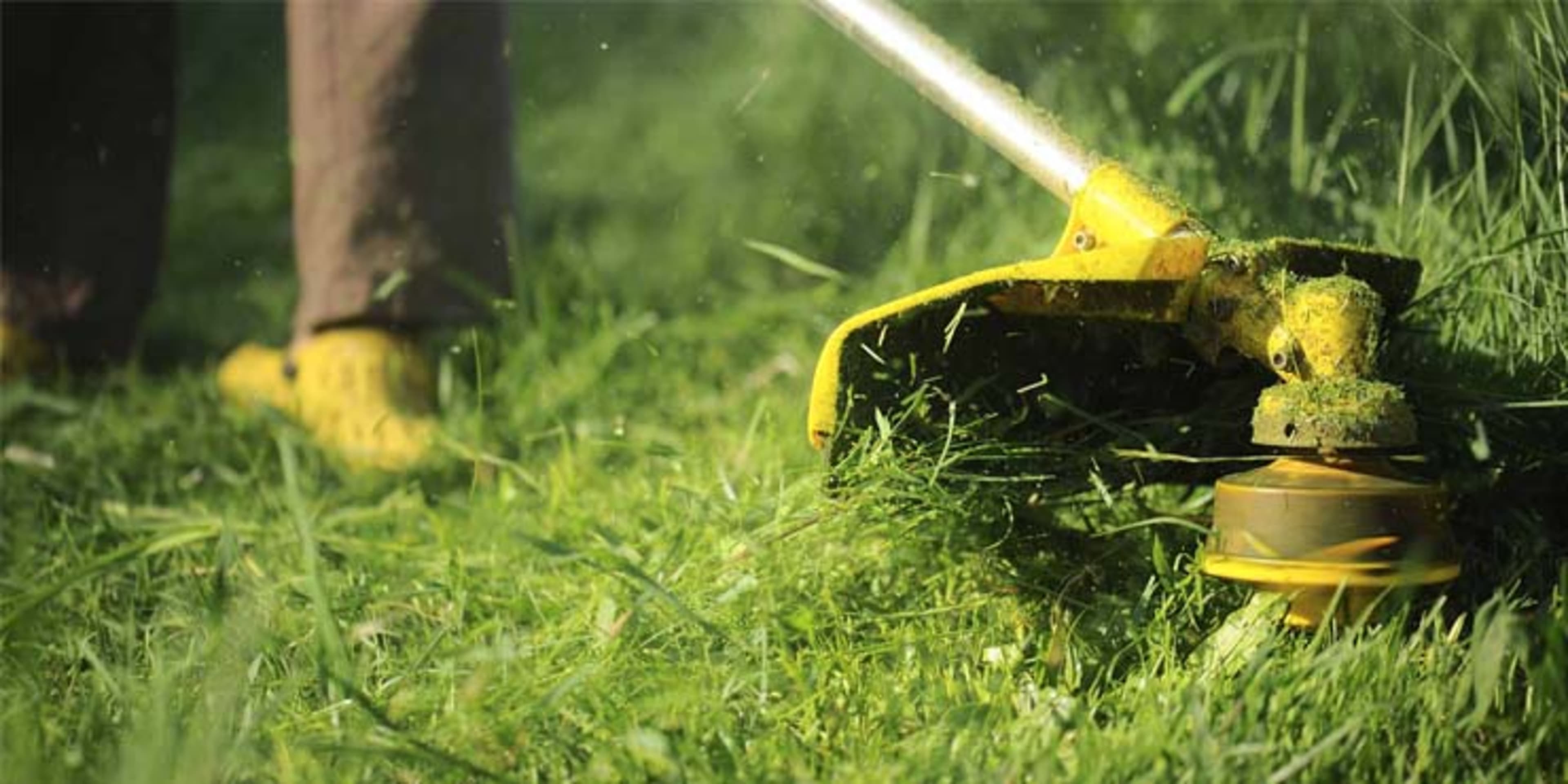 Lawn Care Services background