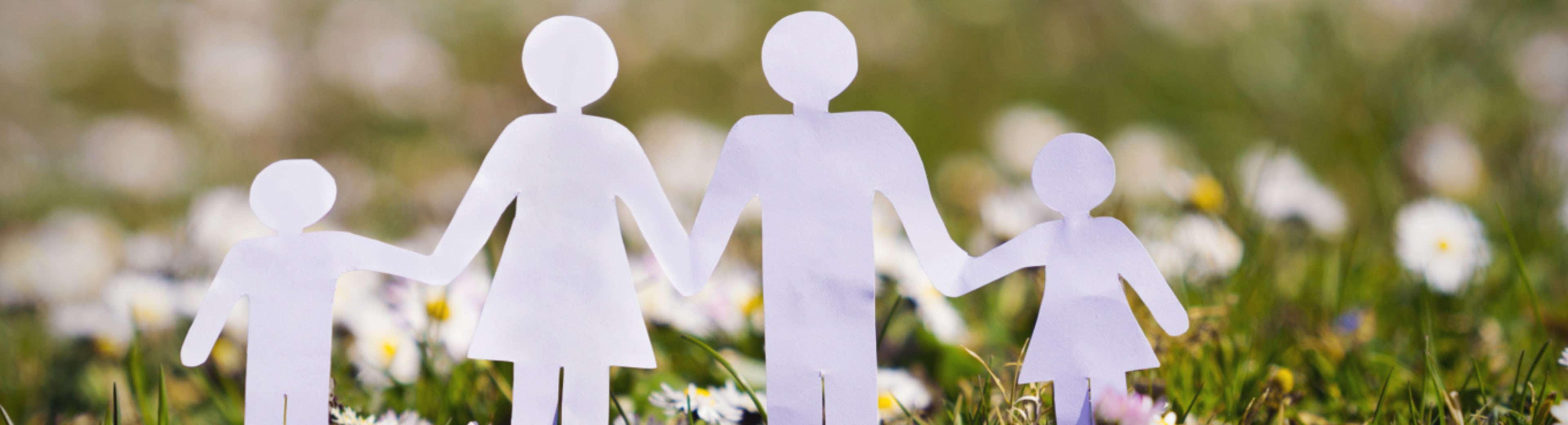 Life Insurance Companies background
