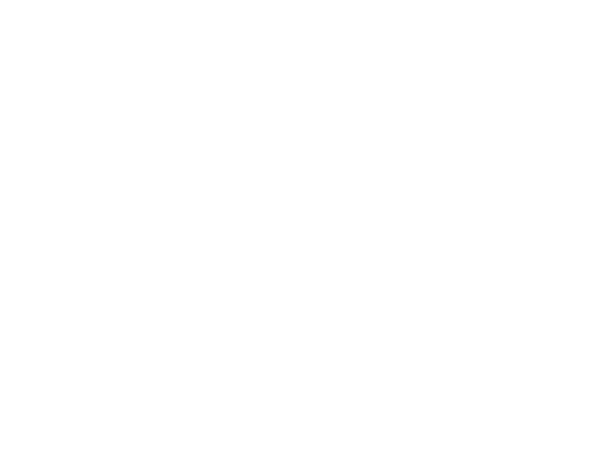 Expertise Award Badge