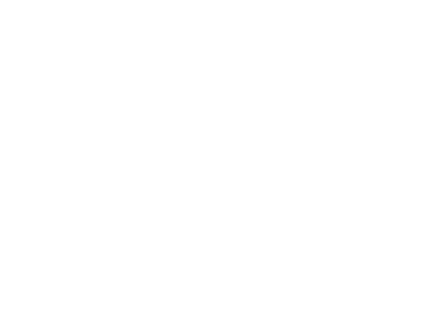 Expertise Award Badge