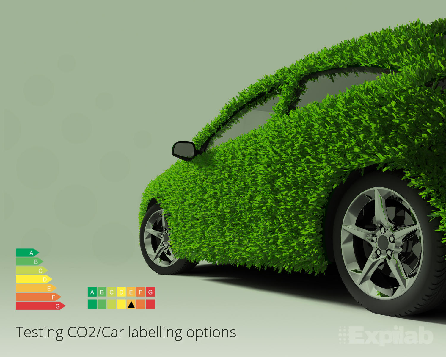 Testing CO2 / Car labelling options and consumer information