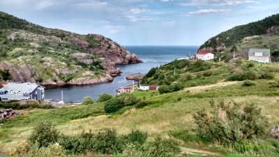 Quidi Vidi - Quidi Vidi