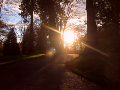 A Walk in the Park