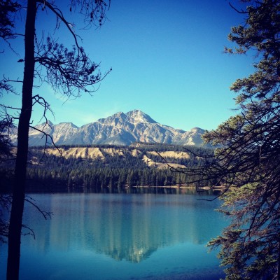 Jasper the Magnificent