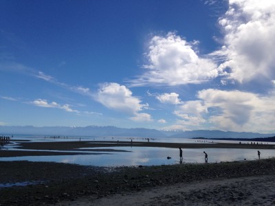 Witty's Lagoon - Witty's Lagoon - The West Coast's Most Enchating Playground