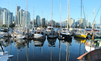 Reflections