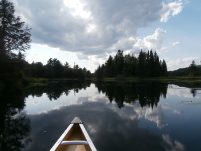 Killarney Provincial Park - August Sky