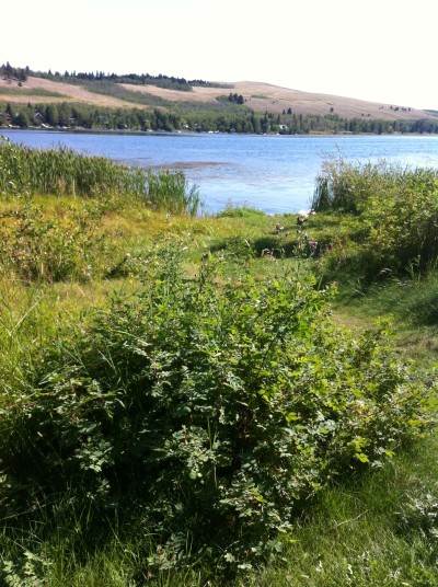 Nature, a true beauty