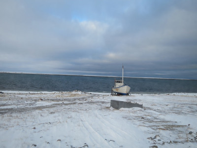 Boat spotted on the shore by the water