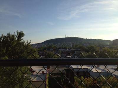 Mount Royal from the Rooftop