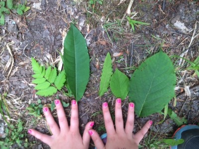 Nature goes hand in hand with these children