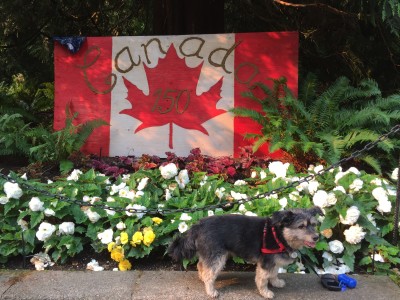 Proud to be Canadian