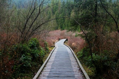 Rolley Lake - Lake Boardwalk