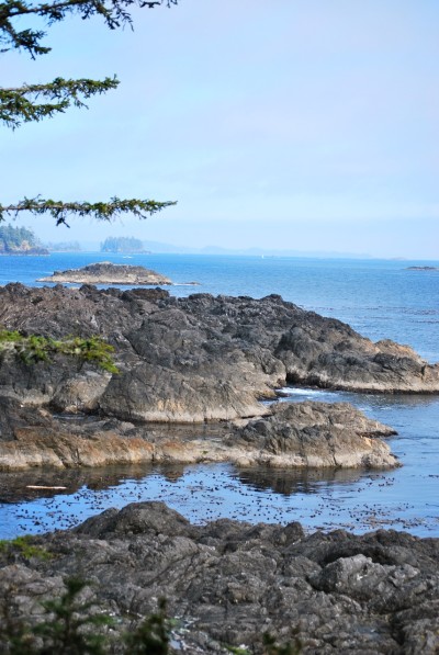 Wild Pacific Trail on Vancouver Island - Inspiration of Ucluelet
