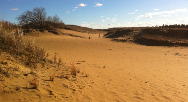 Spirit Sands