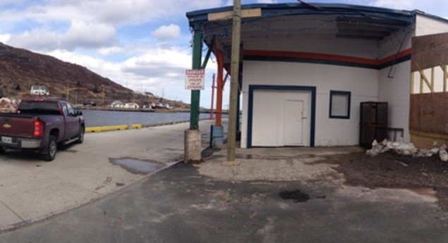 Petty Harbour Mini Aquarium