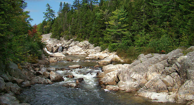 Fundy National Park