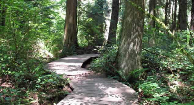Pacific Spirit Regional Park