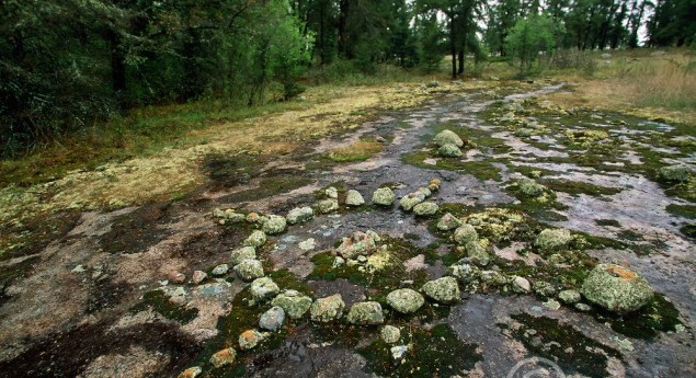 Bannock Point Petroforms - Whiteshell Provincial Park