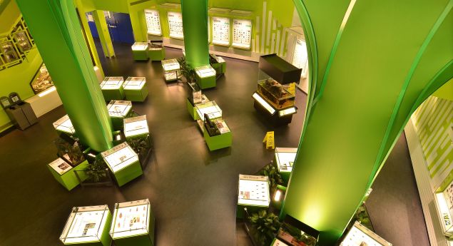 Montreal Insectarium