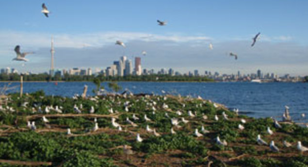 Tommy Thompson Park