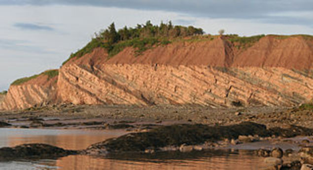 Joggins Fossil Cliffs