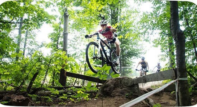 Hardwood Mountain Bike Park