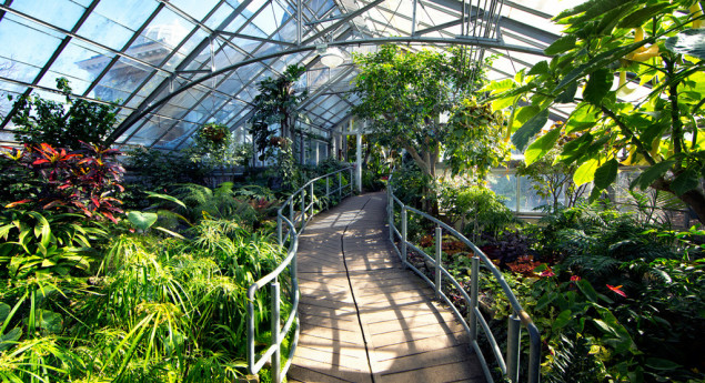 Allan Gardens Conservatory