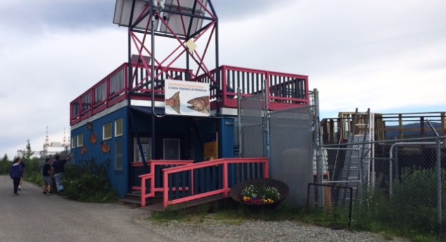 Whitehorse Fishway