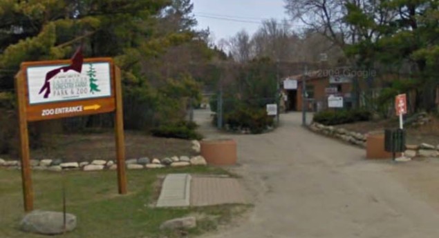 Forestry Farm Park and Zoo