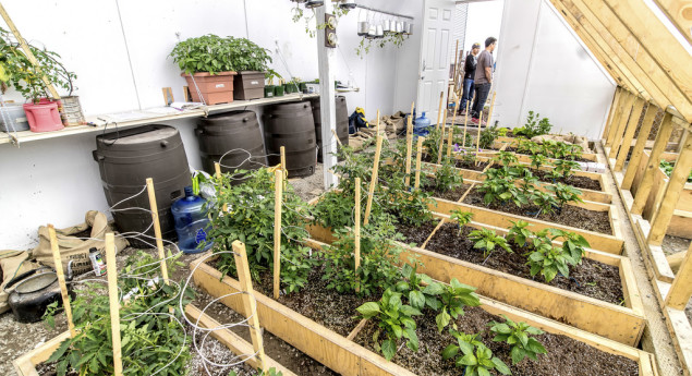 Arviat Community Greenhouse