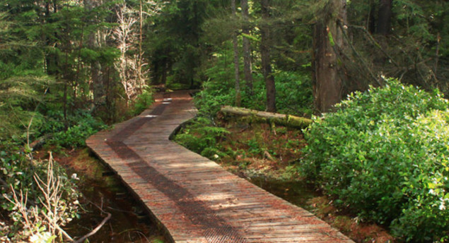 Delta Nature Reserve