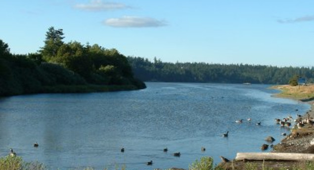 Esquimalt Lagoon