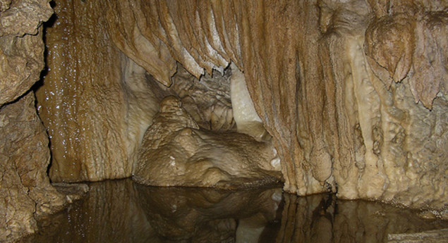 Horne Lake Caves Provincial Park