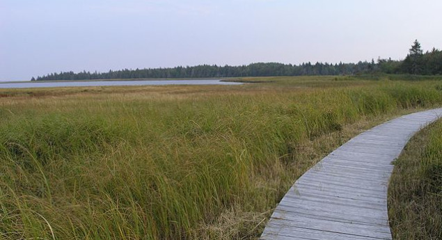 Kouchibouguac National Park
