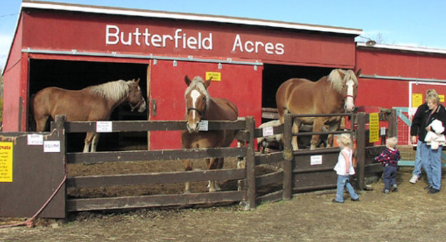 Butterfield Acres