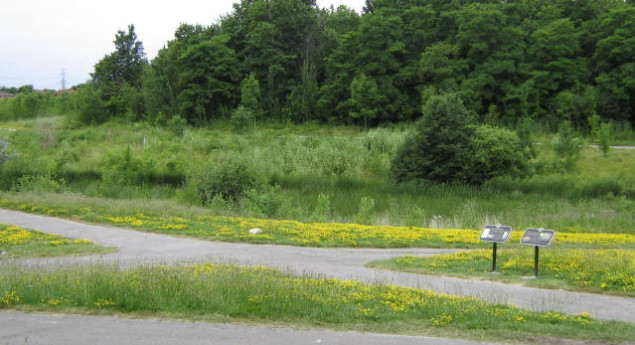 Alexandra site (Huron-Wendat Village)