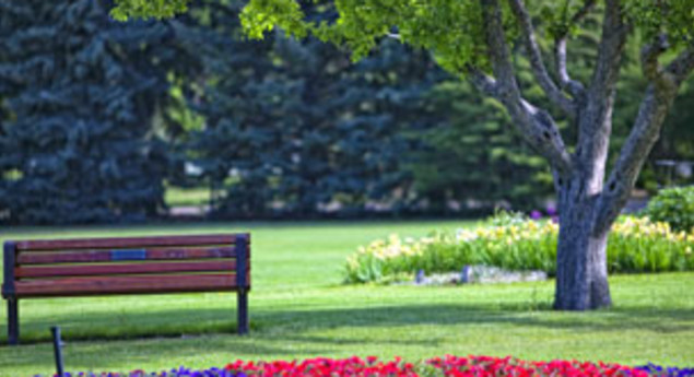 Riley Park