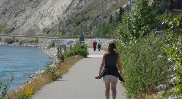 The Millennium Trail