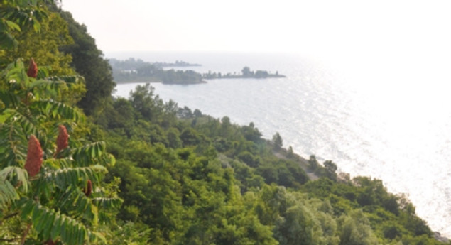 Scarborough Bluffs Park