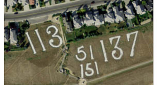 Battalion Numbers